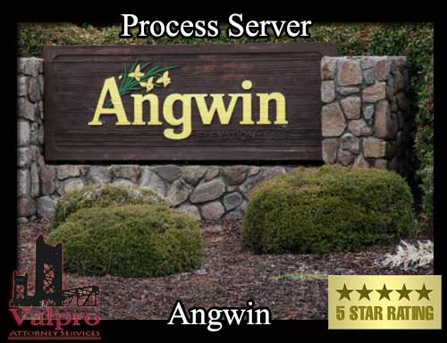 Process Server Angwin