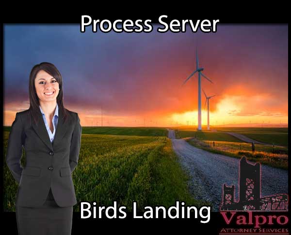 Process Server Birds Landing