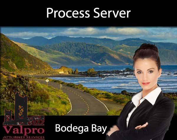 Process Server Bodega Bay