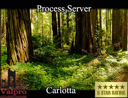 Process Server Carlotta