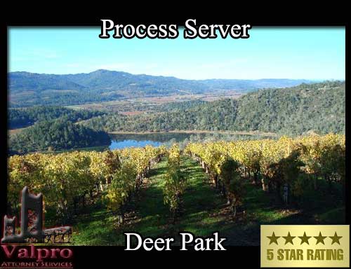 Process Server Deer Park