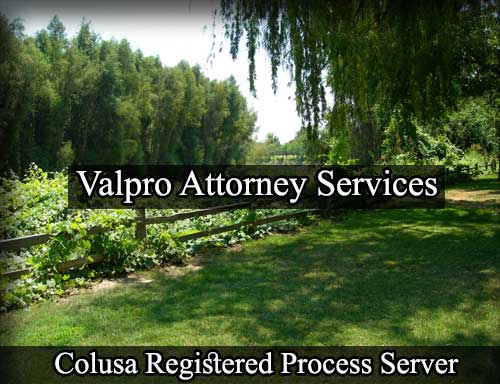 Registered Process Server in Colusa California