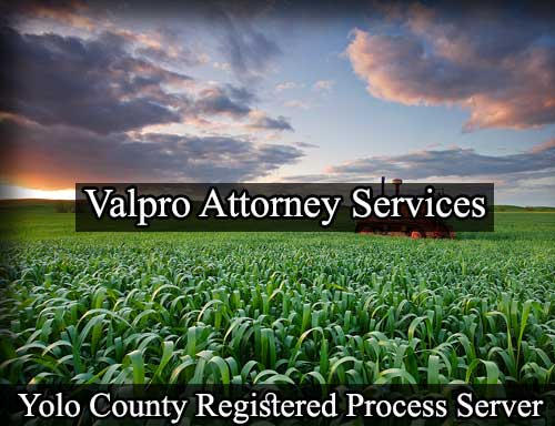 Registered Process Server in Yolo County