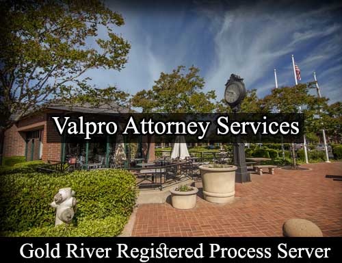 Registered Process Server in Gold River California