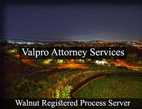 Registered Process Server Walnut California
