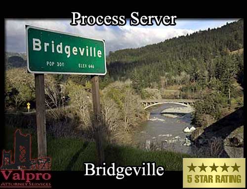 Process Server Bridgeville