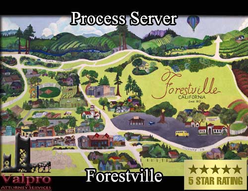 Process Server Forestville