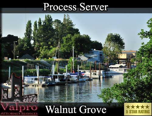 Registered Process Server Walnut Grove California