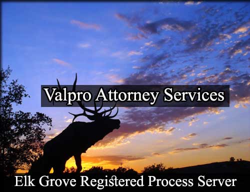 Registered Process Server in Elk Grove California