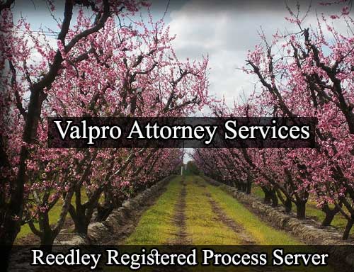 Registered Process Server in Reedley California