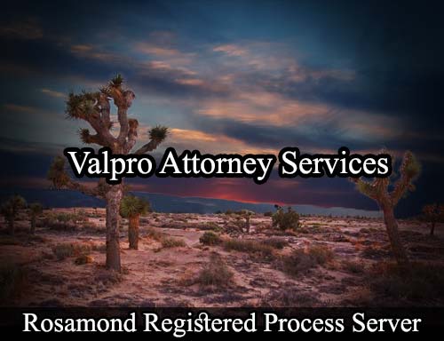 Registered Process Server Rosamond California