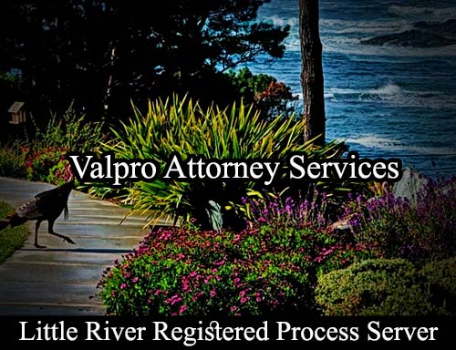 Registered Process Server Little River California